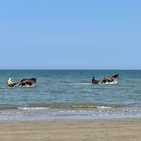 Pressoir De La Mare Superhote 12 Minutes De Cabourg Goustranville Zewnętrze zdjęcie